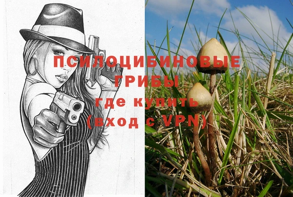 стаф Бородино
