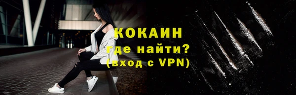 стаф Бородино