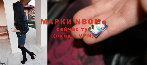 стаф Бородино