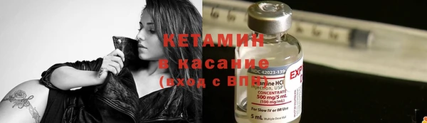 стаф Бородино