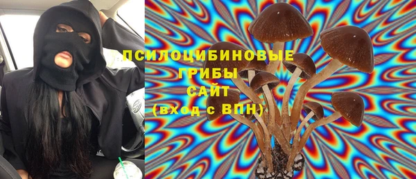 ПСИЛОЦИБИНОВЫЕ ГРИБЫ Сафоново