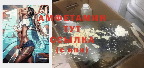 стаф Бородино