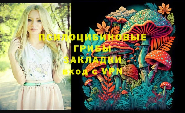 стаф Бородино