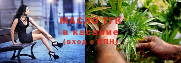 стаф Бородино