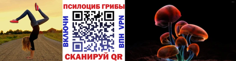 Псилоцибиновые грибы мицелий  закладки  Кизилюрт 